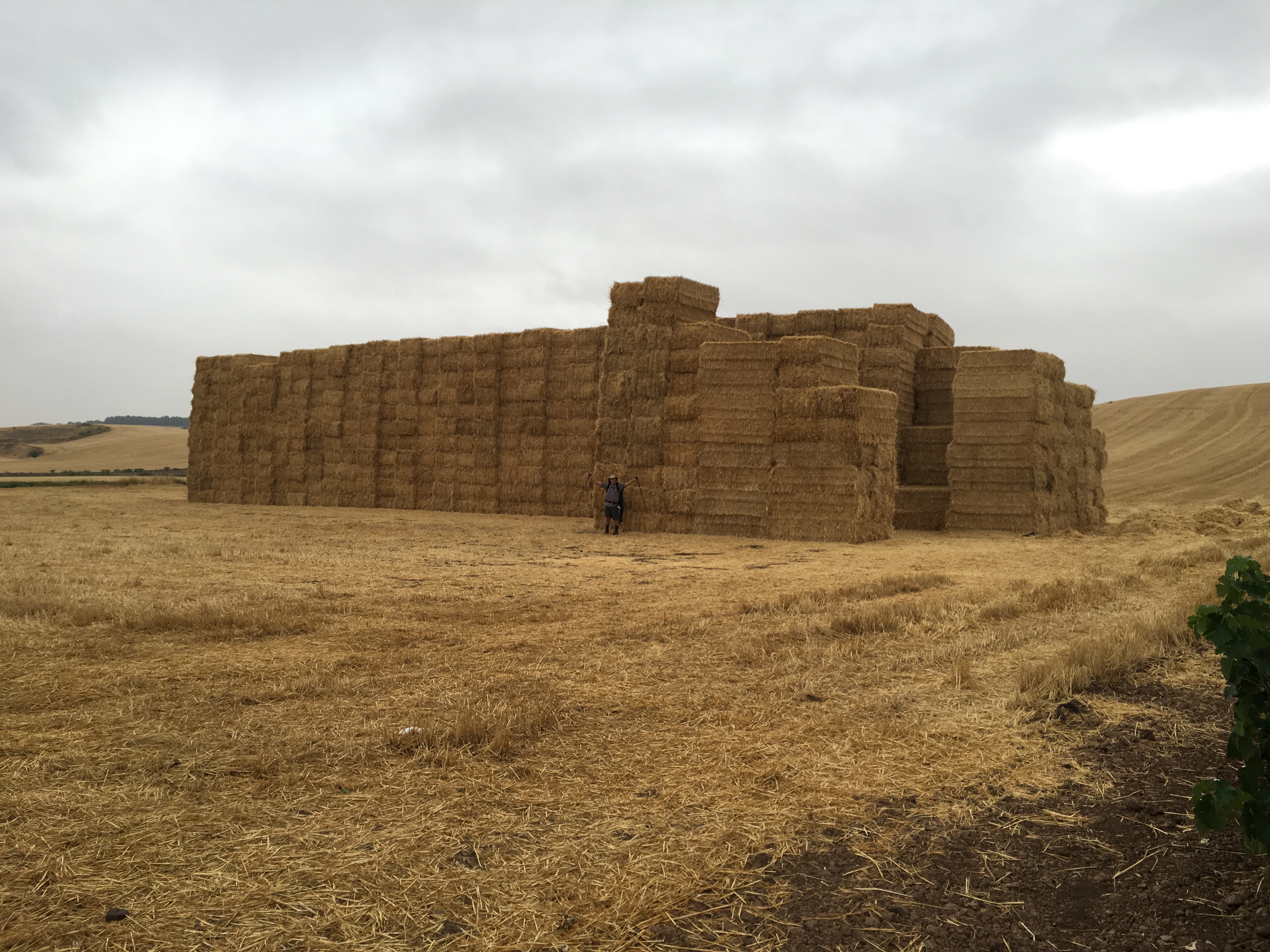 Steve standing by high straw pile